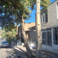 ۶دانگ تجاری اسکو