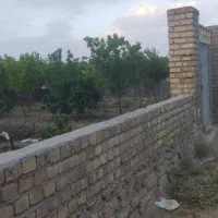 با پایین ترین مبلغ در روستای ورجان صاحب باغ شوید|فروش زمین و ملک کلنگی|قم, پردیسان|دیوار