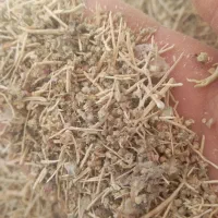 کاه شوره و یونجه