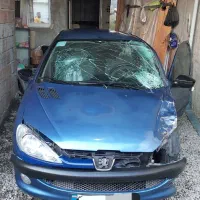 ۲۰۶ تیپ ۵ مدل ۹۵ تصادفی از قبل بیرنگ