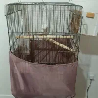 قفس عروس هلندی