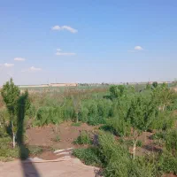 فروش-باغ