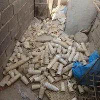 لیوان محافظ نشاء و بوته-کاکی-بادوله-خورموج|خدمات باغبانی و درختکاری|کاکی, |دیوار