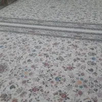 قالی