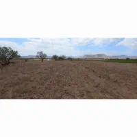 زمین باغی وزوان پشته دانشگاه پیام نور وزوان|فروش زمین و ملک کلنگی|میمه, |دیوار