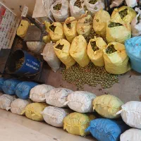 گردو خشک