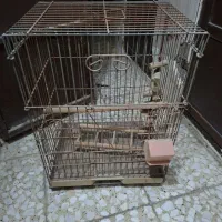 قفس بزرگ طوطی کاسگو