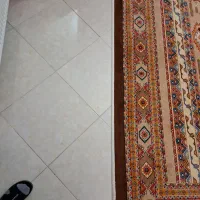 فرش ستاره کویر یزد مدل شاهسون ۲ تخته|فرش|نیشابور, شهرک ولیعصر|دیوار