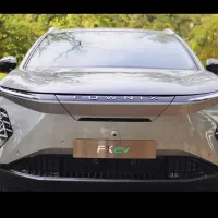 فونیکس اف ایکس برقی 2025 وارداتی|خودرو سواری و وانت|تهران, اراضی عباس آباد|دیوار