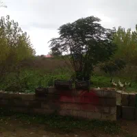 فروش زمین واقع در شهر طاهرگوراب( ماسال)