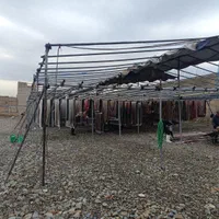 کارخانه قالیشویی ومبل‌شویی نارمک تهرانپارس پیروزی
