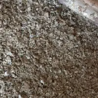 کود کبوتر
