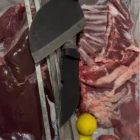 غذای خانگی|خوردنی و آشامیدنی|بوشهر, |دیوار