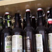 شیشه تمیز 50 عدد|ظروف نگهدارنده، پلاستیکی، یکبارمصرف|قروه, |دیوار