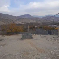 زمین میشخاص روستا زردآلو آباد