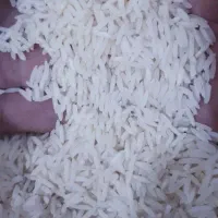 طارم