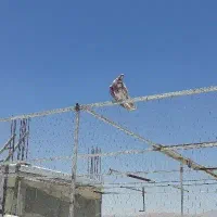 کفتر