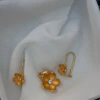ست گوشواره و پلاک وزن ۴گرمو ۵۴۰ سوت