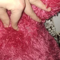 عروسک.شاخصین.خرس|اسباب‌‌بازی|تهران, شهرک رضویه|دیوار