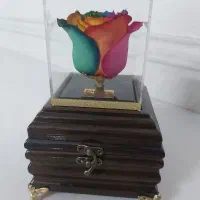 رز جاودان جا جواهری