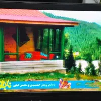 ال سیدی 43 پاناسونیک