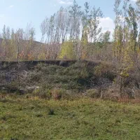 فروش باغ گیلاس در روستای حور|فروش زمین و ملک کلنگی|ویلکیج, |دیوار