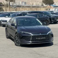 بی وای دی چین ال 2025