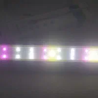 آکواریوم شیشه خم شرکتی|ماهی|قم, گلزار|دیوار