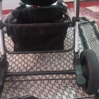 کالسکه دلیجان مدل روما|کالسکه و لوازم جانبی|پیشوا, |دیوار