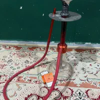 قلیان وارداتی اصل