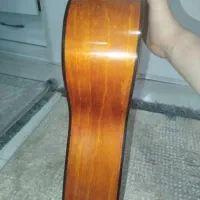 گیتار آموزشی|گیتار، بیس، امپلیفایر|بندر انزلی, آذربایجان|دیوار