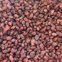 مویز بدون هسته مخصوص خوردن|خوردنی و آشامیدنی|شیراز, شهرک مدرس|دیوار