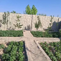 زمین ویلایی باسمنج