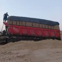 کاه باگاس|لوازم جانبی حیوانات|قزوین, |دیوار