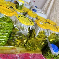 فروش ترشیجات