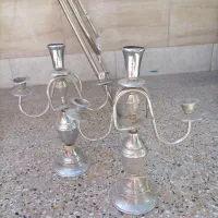 جا شعمونی نو نو و سالم قیمت دونه ای 100