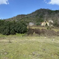 650-متر-زمین-روستایی-با-پروانه-ساخت