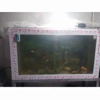 آکواریوم بزرگ با پایه|ماهی|قزوین, |دیوار