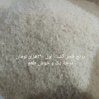 برنج شمال