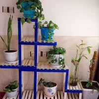 استندگل بزرگ و کوچیک