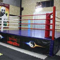 آموزش تخصصی کیک بوکسینگ بانوان