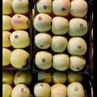 پخش میوه درجه یک مراسم تولد نامزدی عروسی ختم|خدمات پذیرایی، مراسم|فردیس, ثابتی|دیوار