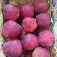 سیب قرمز و سفید