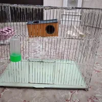 قفس|لوازم جانبی حیوانات|قوچان, |دیوار