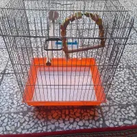 عدد قفس پرنده