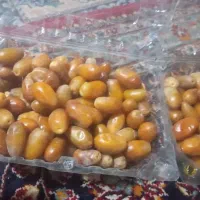 خرما