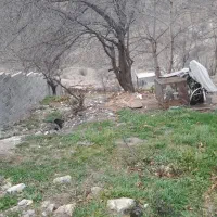 زمین-مسکونی-300متری-کوهستانی-فوری