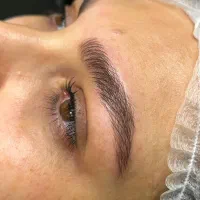 نیازمند مدل جهت میکروبلیدینگ و هایپرلیفت|خدمات آرایشگری و زیبایی|شیراز, قصرالدشت|دیوار