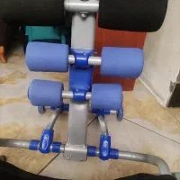 دراز و نشست تن تاک