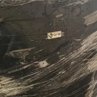 صندلی کنفرانسی لیو